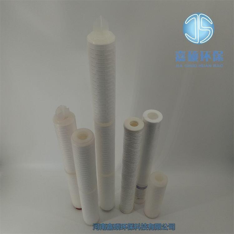 嘉碩環(huán)保PALL/頗爾 保安過濾器濾芯PPHF640H100E